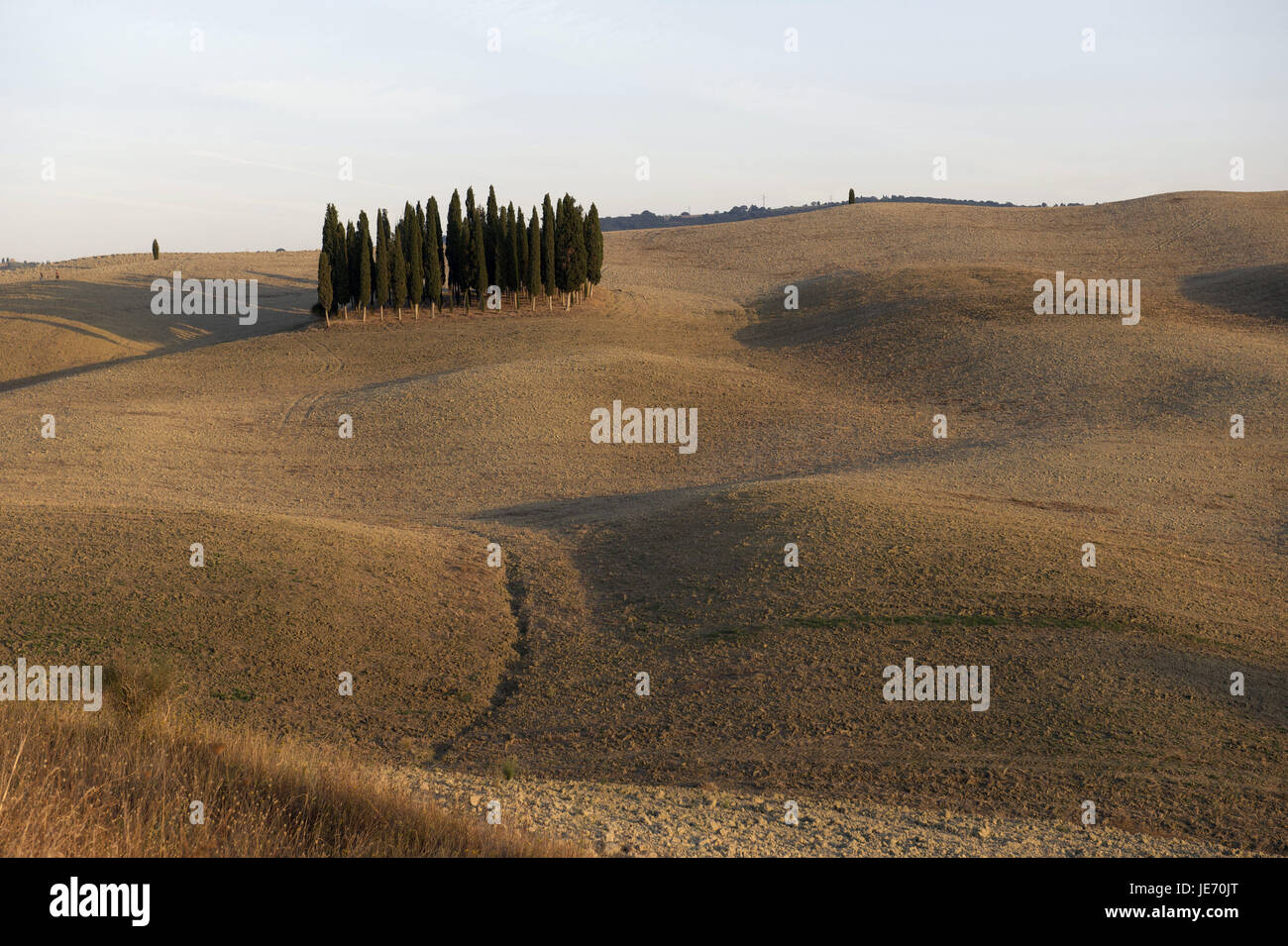 Europa, Italien, Toskana, Val d ' Orcia, Bereich Landschaft, Stockfoto