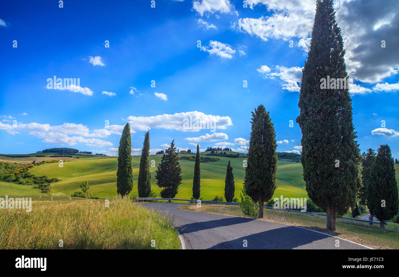 Straße mit Zypressen in Val d ' Orcia (Toskana) Stockfoto