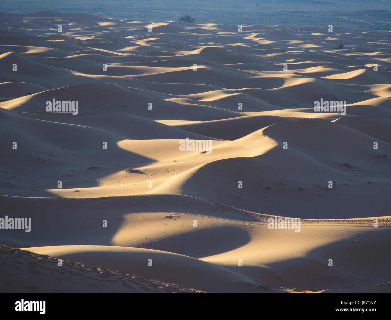 ERG CHEBBI MERZOUGA Dünen Bereich in der Nähe der Stadt und der Landschaft von Sandy Desert Formationen im Südosten Marokkos in der Nähe der Grenze mit ALGIERIA, klaren blauen Himmel. Stockfoto