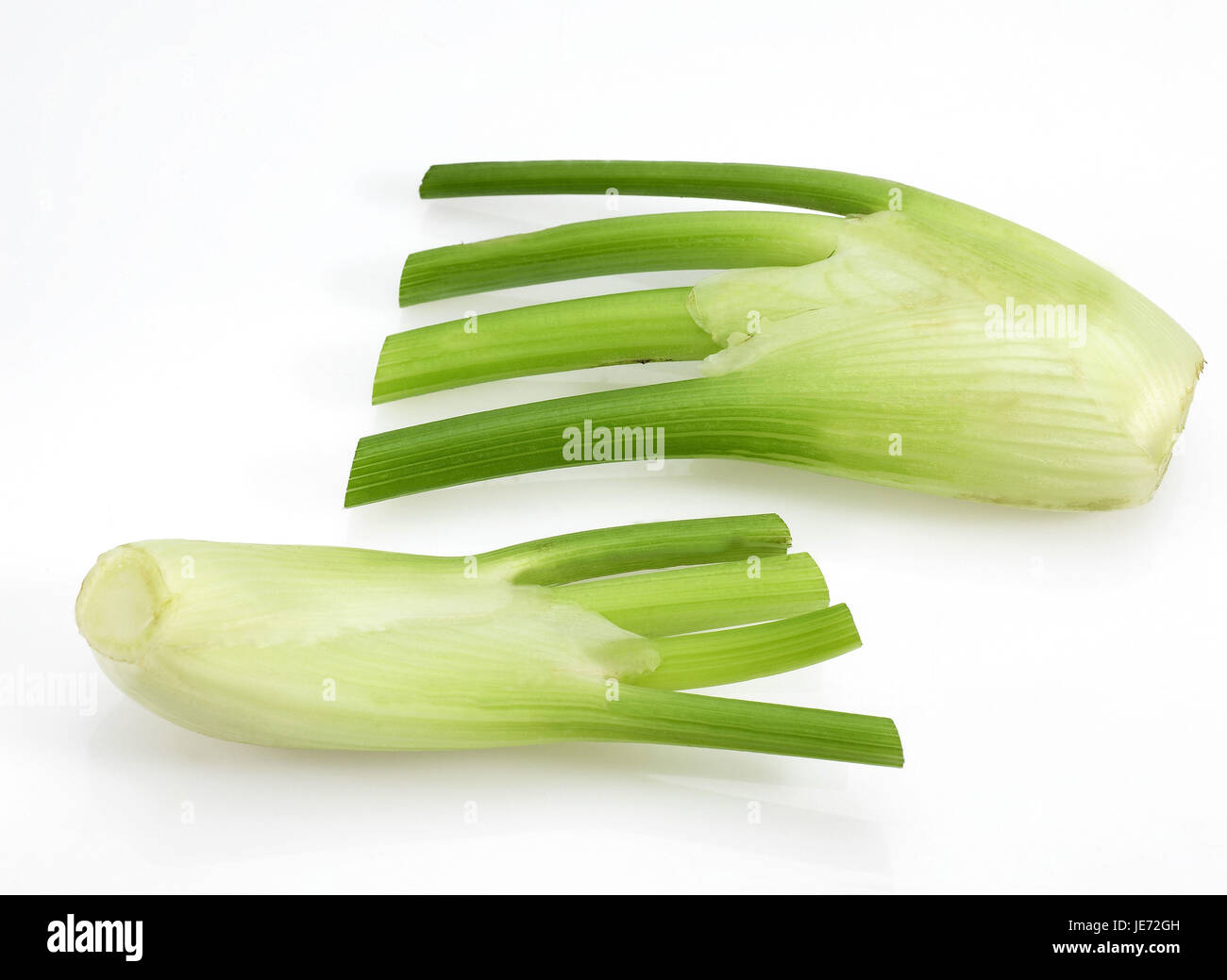 Fenchel, Foeniculum Vulgare, Gemüse, weißer Hintergrund, Stockfoto