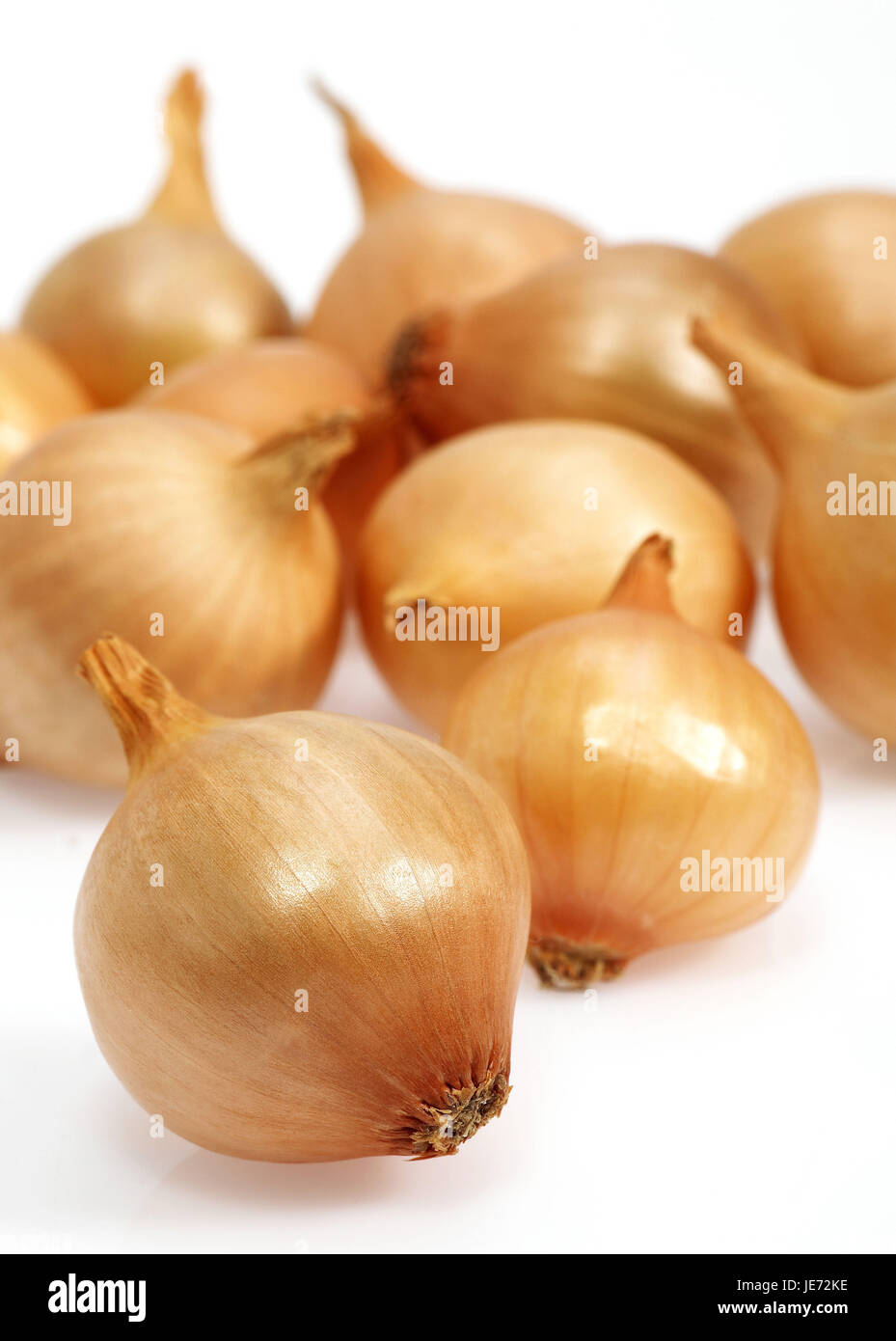 Zwiebel, Allium Cepa, weißer Hintergrund, Stockfoto