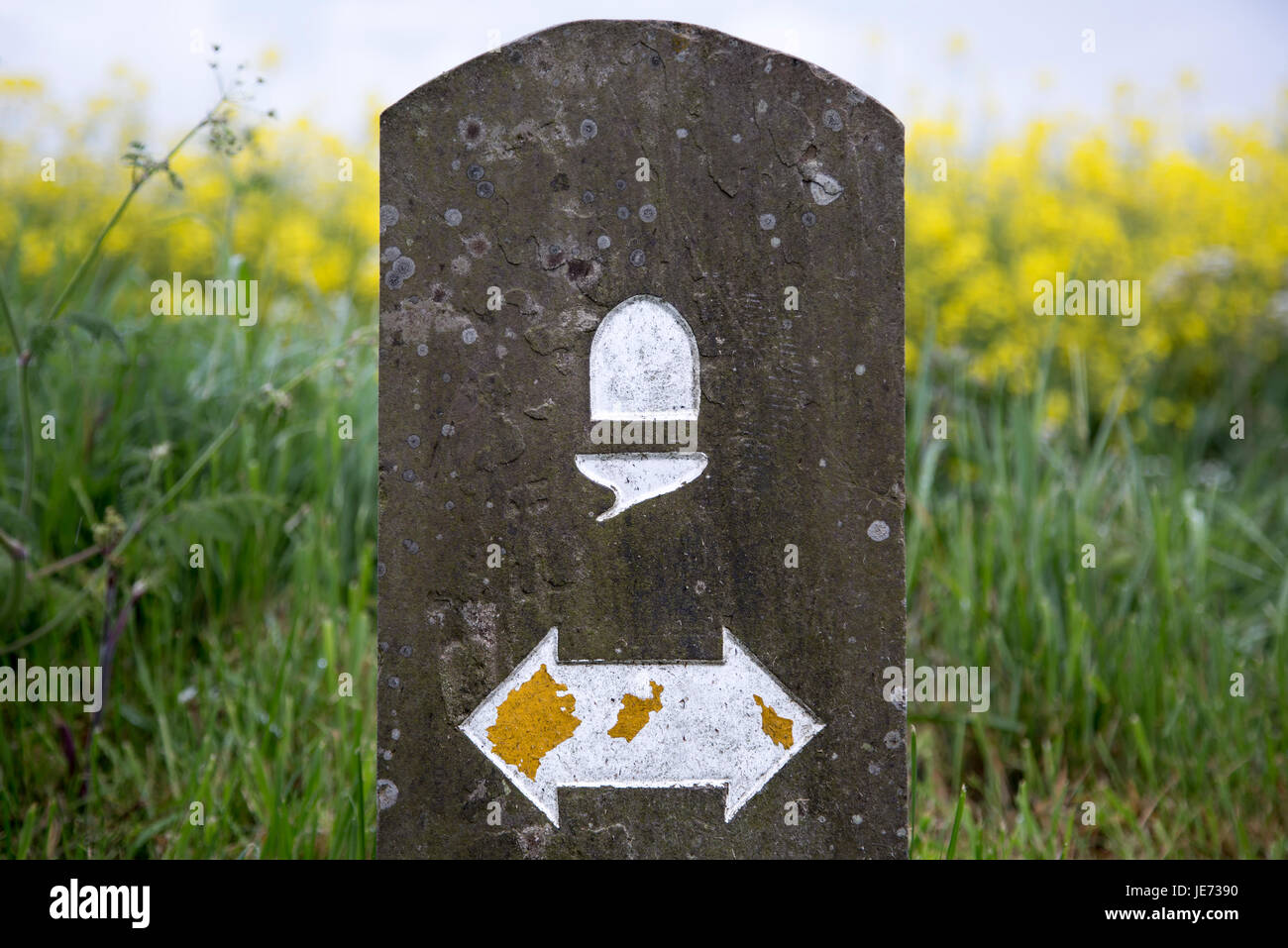Eichel-Symbol von England und Wales National Trails, Hadrianswall, Northumberland, England, Vereinigtes Königreich Stockfoto
