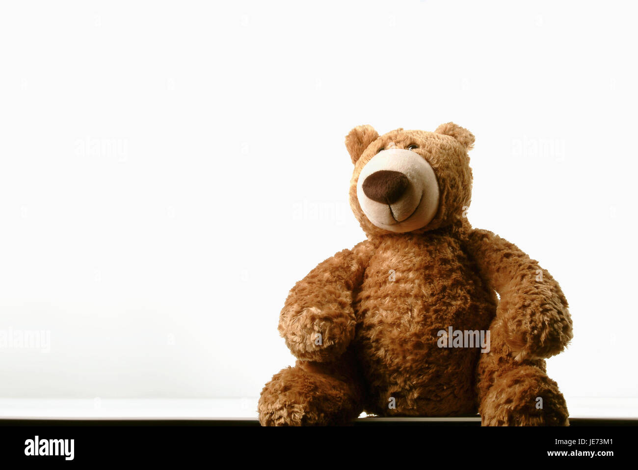 Weiches Spielzeug, Teddybär, Stockfoto