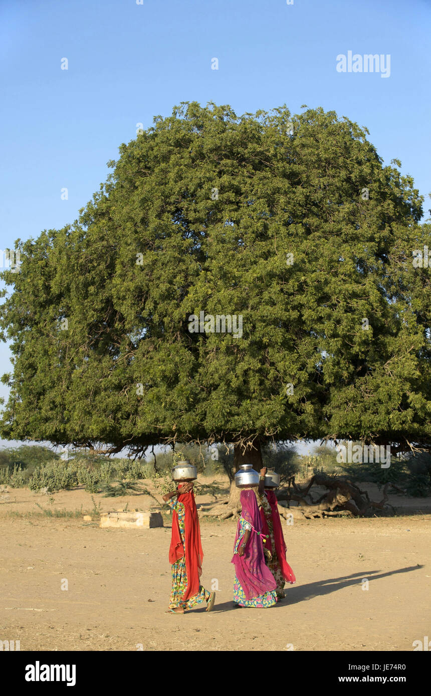 Indien, Rajasthan, Jaisalmer Region, Dorf Khuri, drei Frauen auf dem Weg zum Brunnen, Stockfoto