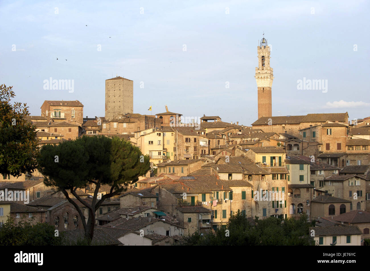 Italien, Toskana, Siena, Torre del Mangia, Stockfoto