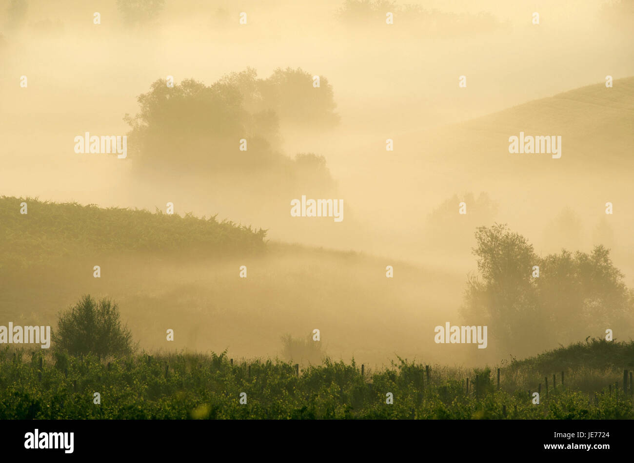 Italien, Toskana, Region Chianti, Nebel über der Landschaft, Stockfoto