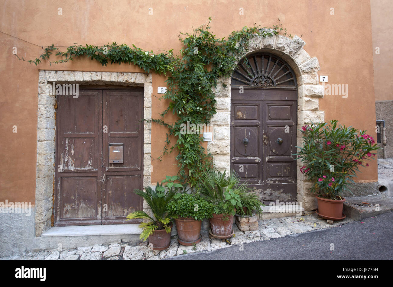 Italien, Toskana, La Maremma, Massa Marittima, Altstadt, Haus, zwei vorderen Türen und Anlagen, Stockfoto