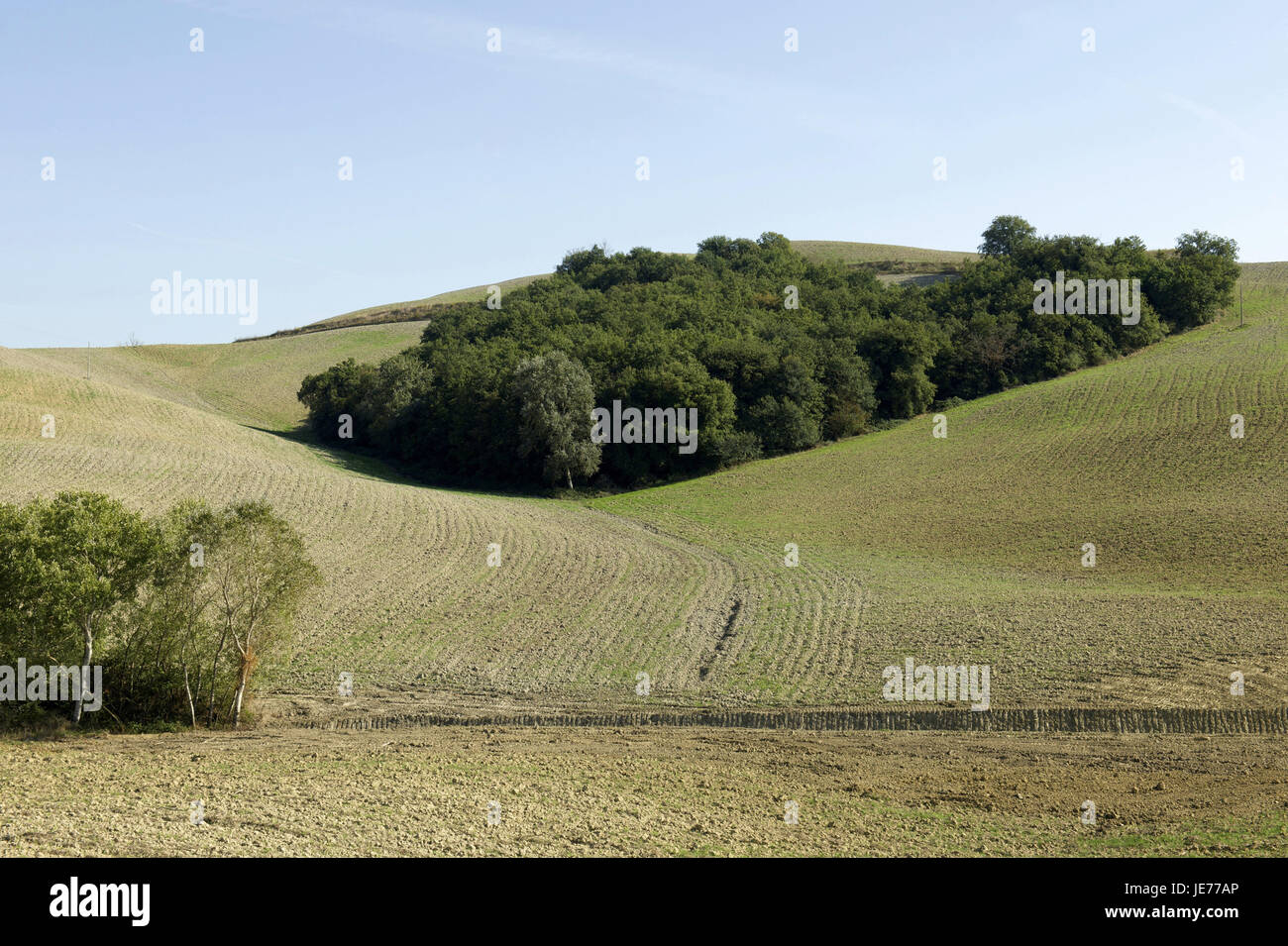 Italien, Toskana, Crete Senesi, Sienesische Landschaft, Stockfoto