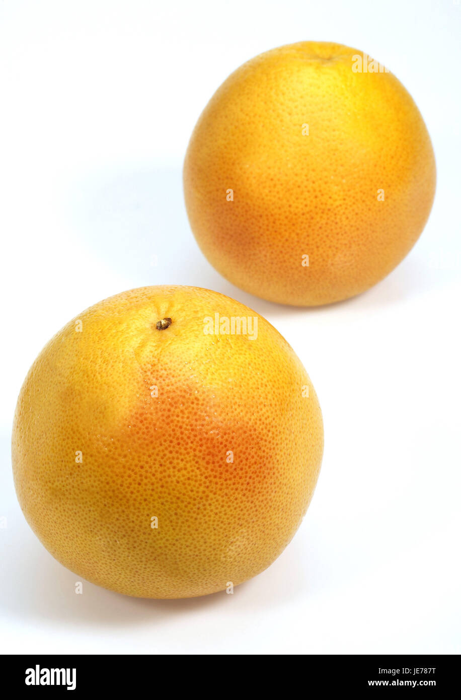 Grapefruit, Citrus Paradisi, weißer Hintergrund, Stockfoto