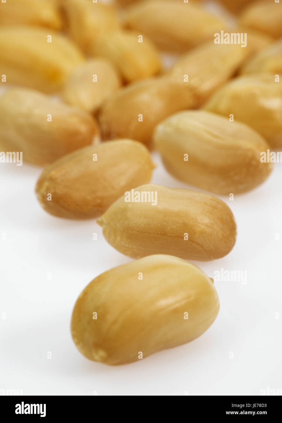Erdnüsse, Arachis Hypogaea, weißer Hintergrund, Stockfoto