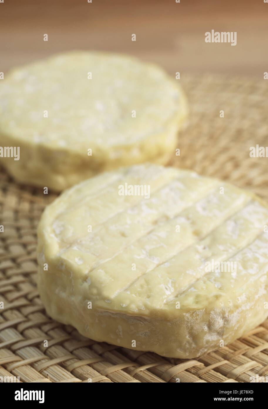 Französischer Käse, Saint-Marcellin, Kuhmilch, Stockfoto