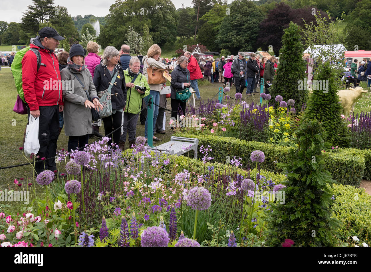 Die Mitglieder des public viewing Erfahrung & Derbyshire Peak District
