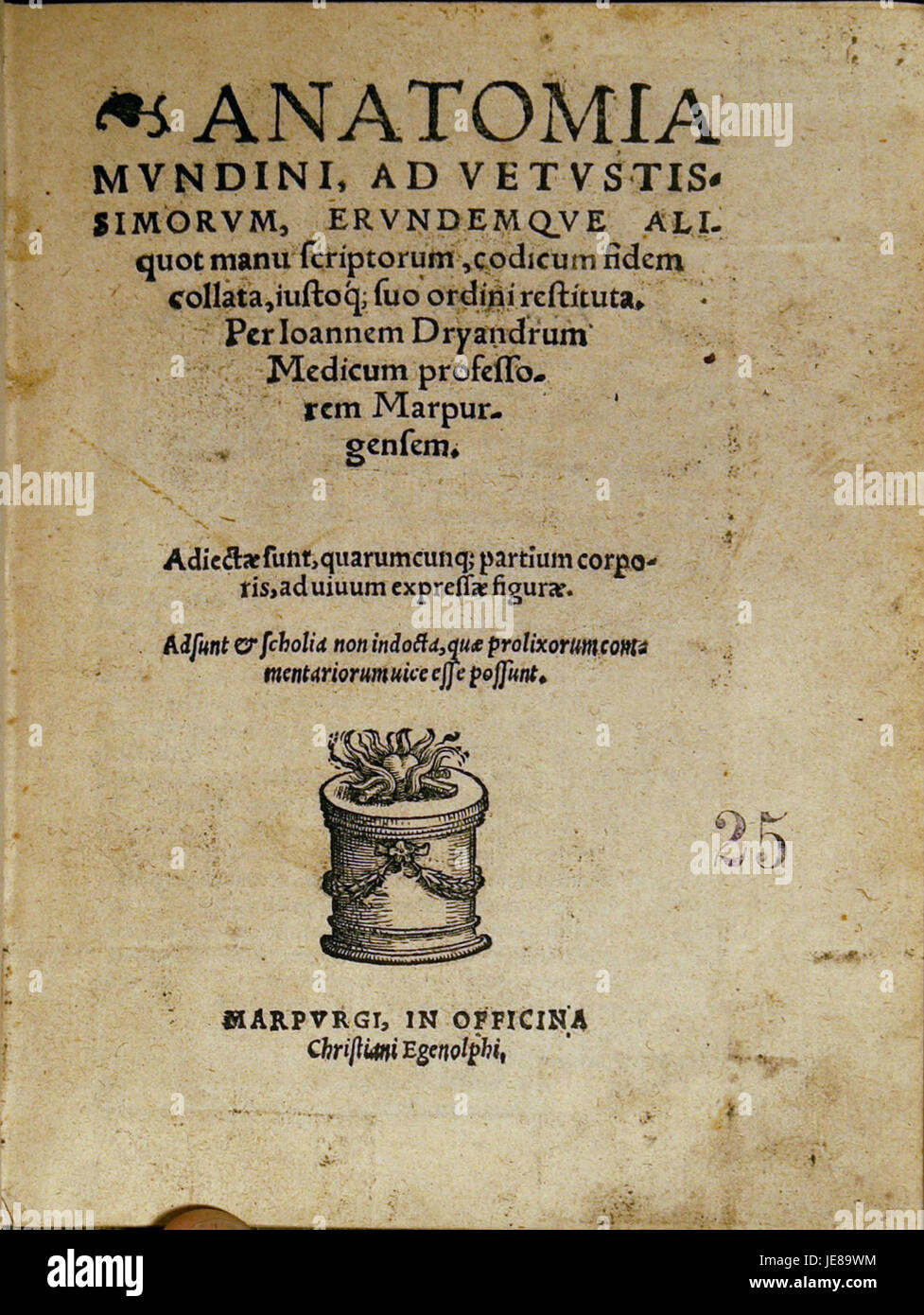 Dryanders „Anatomia Mundini“ ist ein bedeutendes Werk in der Geschichte der Anatomie, das detaillierte Illustrationen und Beschreibungen der menschlichen Anatomie bietet, basierend auf den Lehren von Mondino de Liuzzi. Stockfoto