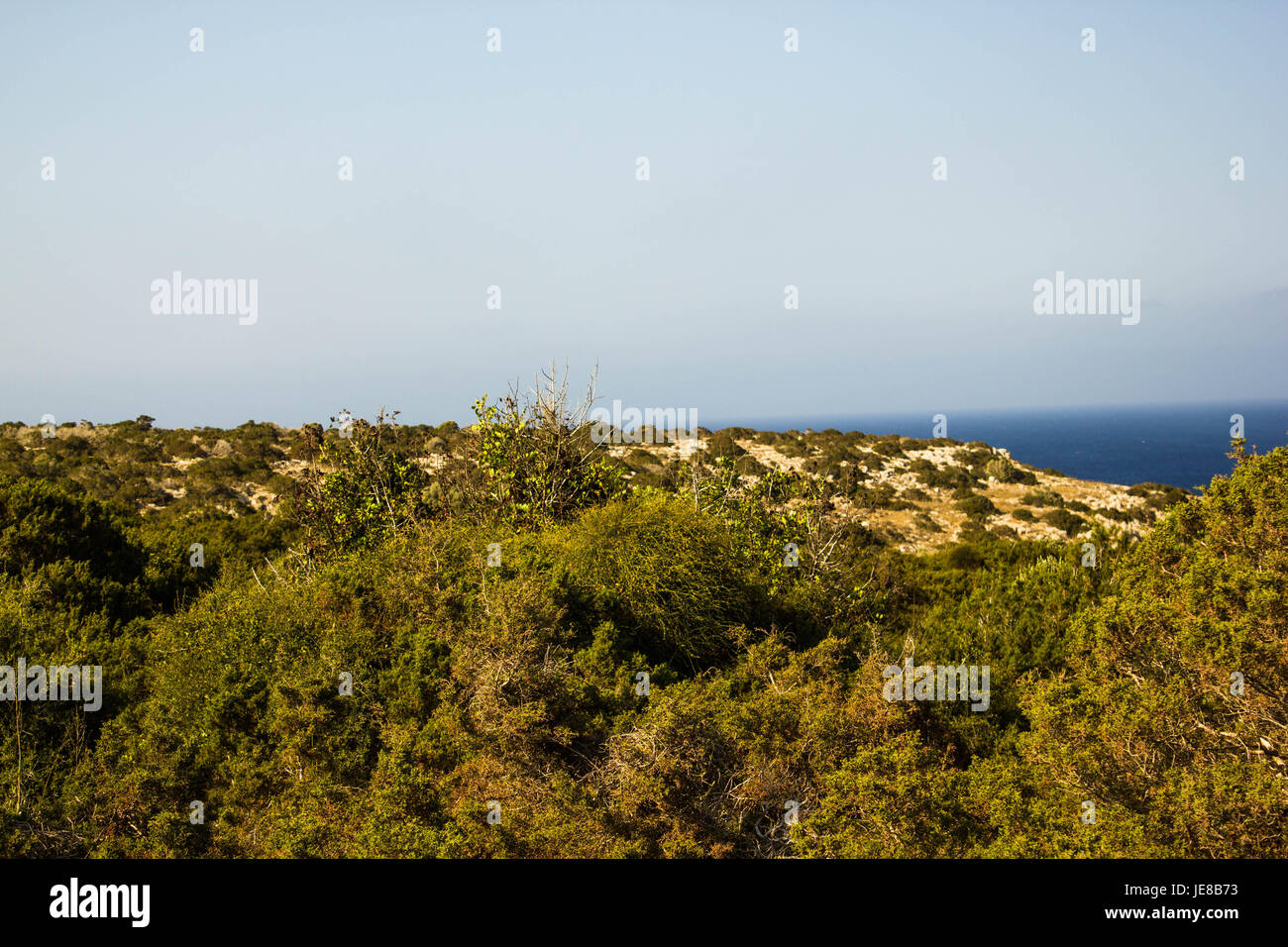 Zypern Wüste und Meerblick mit Wüstenpflanzen. Stockfoto