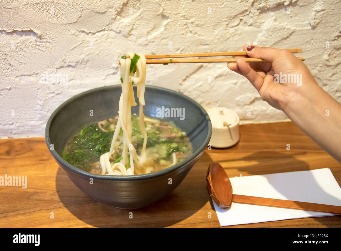 Gyunan Udon, Washugyu Rindfleisch und Tokio Negi, Raku japanische Udon-ya Restaurant, East Village, Manhattan, New York City Stockfoto