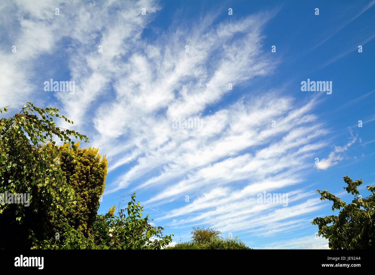 Ungewöhnliche Cirrus Wolkenmuster Stockfoto