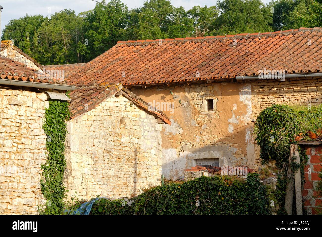 Altes Bauernhaus im ländlichen Frankreich Europa bauen Stockfoto