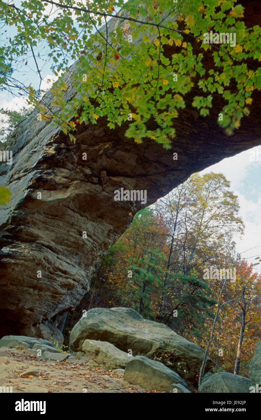 Natural Bridge, Red River Gorge Bereich, Daniel Boone National Forest, Kentucky 10 09 Stockfoto