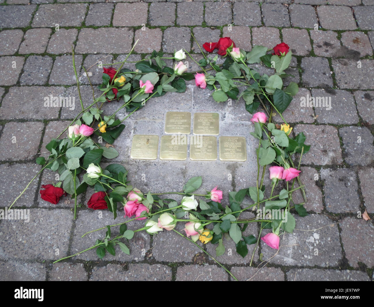 Die Stolpersteine in Hockenheim gedenken der Opfer des Holocaust. Diese Messingtafeln, die vor dem letzten freiwilligen Aufenthalt der Opfer angebracht werden, erinnern an die Gräueltaten, die während des Zweiten Weltkriegs begangen wurden. Sie sind Teil eines internationalen Gedenkprojekts. Stockfoto