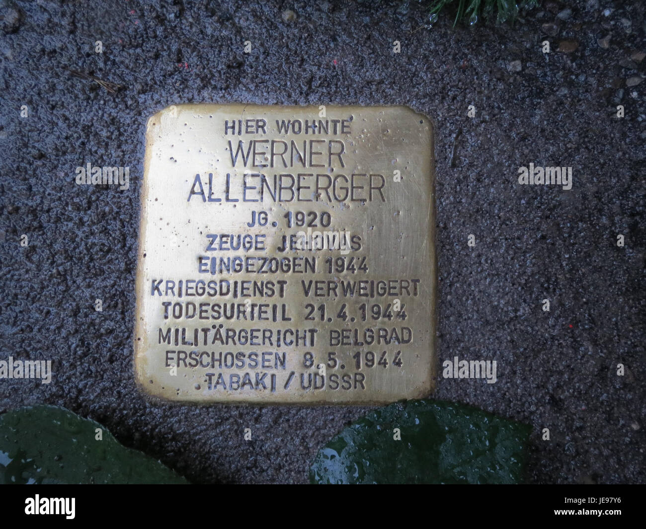 Eine am 8. November 2013 aufgenommene Fotografie von Stolpersteinen in Hockenheim, Gedenksteine zum Gedenken an die Opfer des Holocaust. Stockfoto