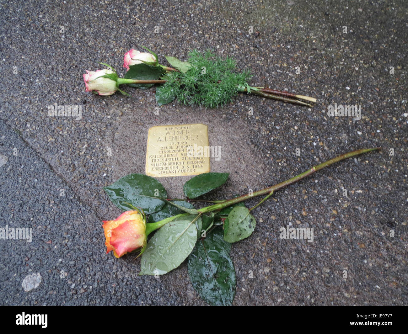 Stolpersteine, oder Stolpersteine, sind Gedenkstätten, die in den Boden gelegt werden, um an die Opfer des Holocaust zu erinnern. Dieses Bild stammt aus Hockenheim, datiert vom 8. November 2013 und zeigt eine Reihe von Stolpersteinen. Stockfoto