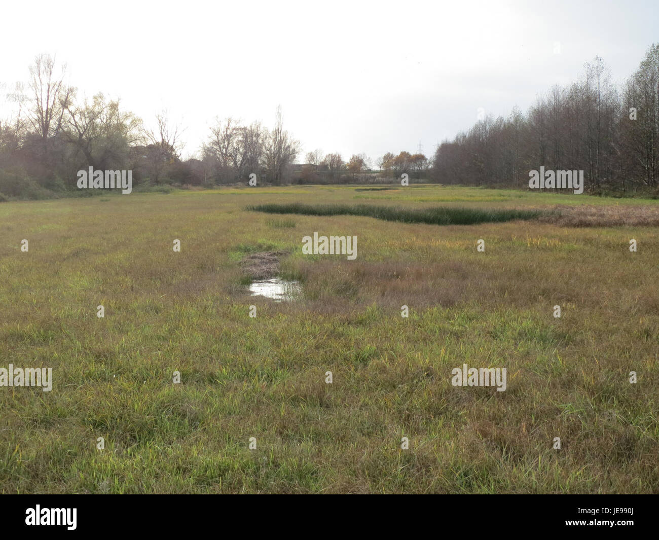 „Horststuecker“ ist eine visuelle Aufzeichnung vom 25. November 2013, die eine Szene des Alltags oder eines bedeutenden Ereignisses festlegt. Die Arbeit dokumentiert einen Moment und bietet eine kulturelle Momentaufnahme von Zeit und Ort. Stockfoto