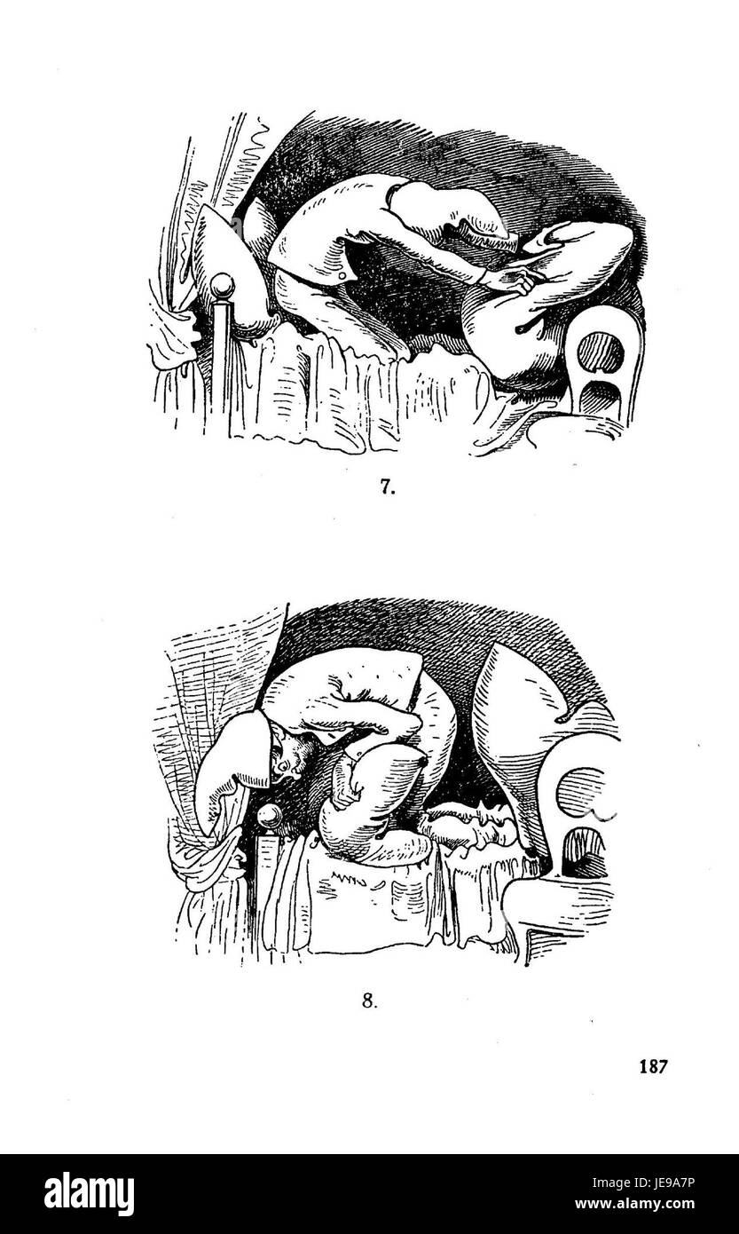 Diese Seite aus der Reihe „Busch Werke“ zeigt ein Beispiel deutscher Holzschnitte und Kupferstiche. Das Stück unterstreicht die komplizierte Handwerkskunst und die Verwendung von feinen Details, die typisch für diese Zeit sind. Stockfoto