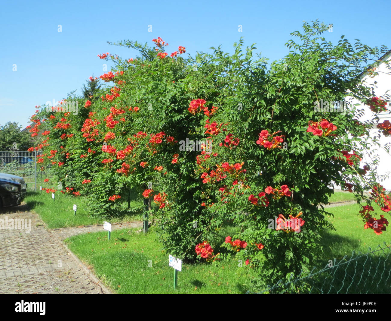 Der Hockenheimring ist eine Rennstrecke in Hockenheim. Es ist berühmt für den Großen Preis von Deutschland und verschiedene Motorsportveranstaltungen das ganze Jahr über. Stockfoto