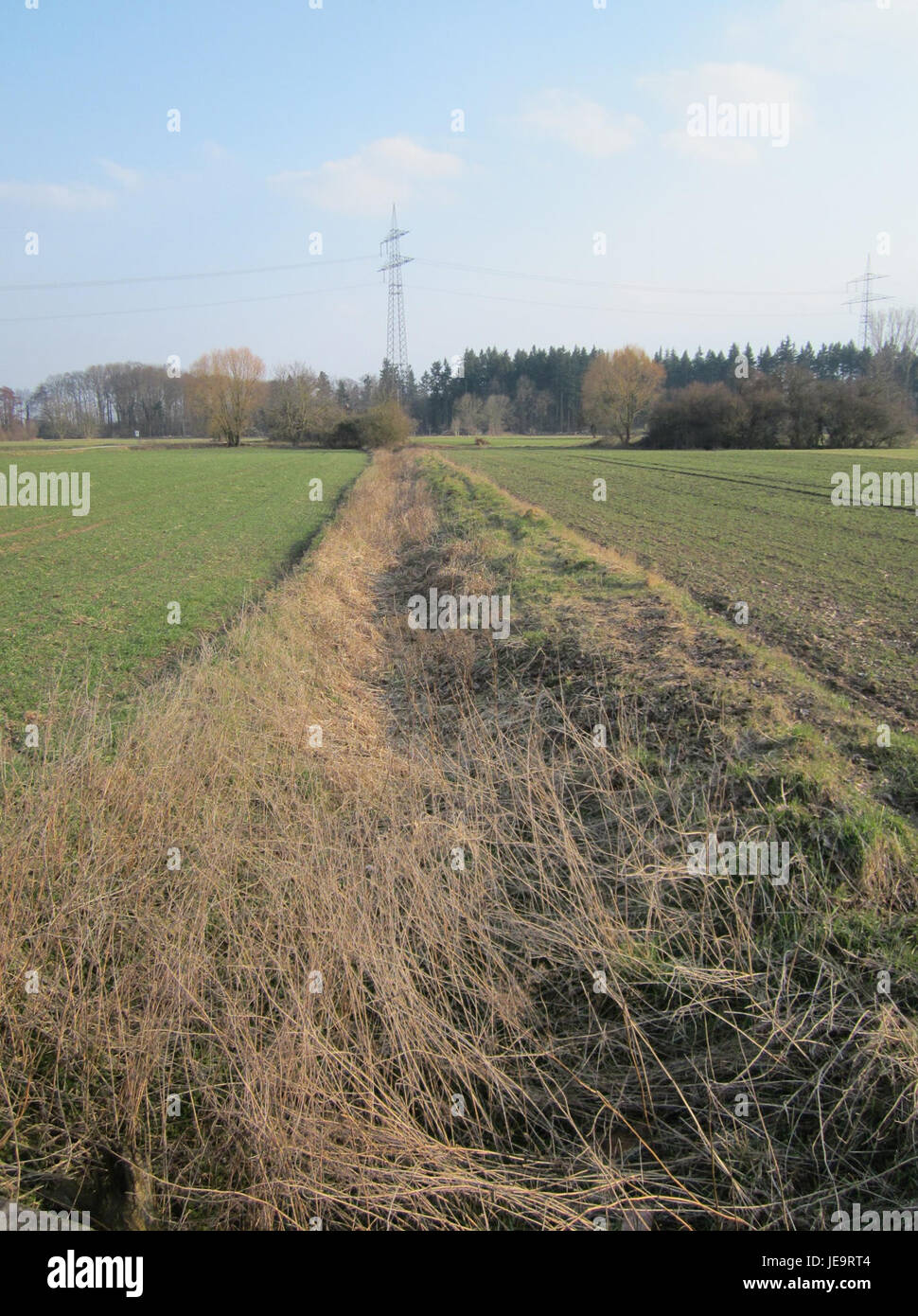 Dieses Foto zeigt die Kisselwiesen in Reilingen am 27. März 2013 mit ihrer natürlichen Landschaft und ländlichen Umgebung. Stockfoto