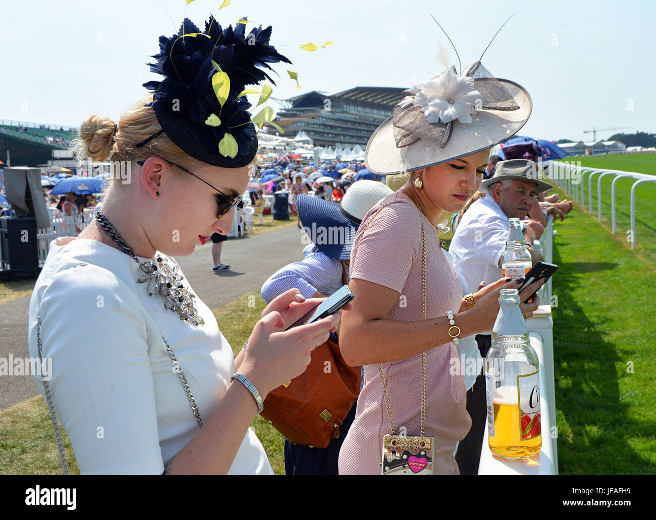 Schöne junge Frauen beobachten, Rennpferde, die von der Spur in Ascot an einem heißen Sommertag. Ihre Hüte sind außergewöhnlich und Sie bleiben in Verbindung mit Social Media, indem Sie Ihre Telefone. Stockfoto