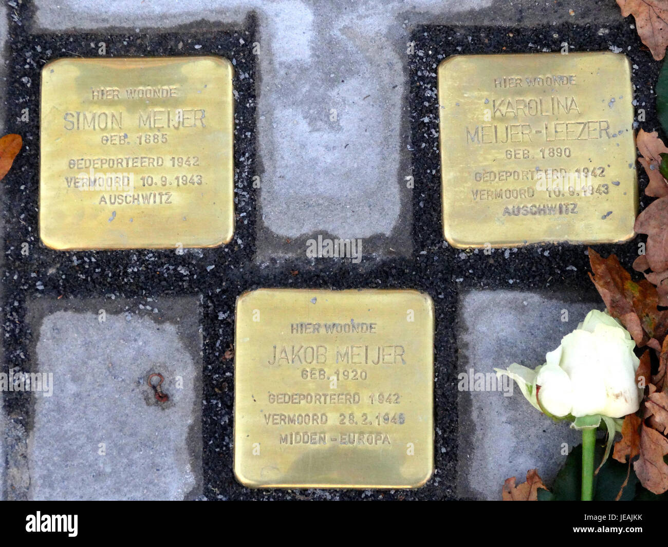 Dieses Bild zeigt einen Stolperstein, eine kleine Messingtafel, die zum Gedenken an die Opfer des Holocaust auf dem Boden angebracht wurde. Es befindet sich in der Kniggestraat im Stadskanaal und ehrt die Erinnerung an Personen, die während des Zweiten Weltkriegs deportiert oder getötet wurden Stockfoto