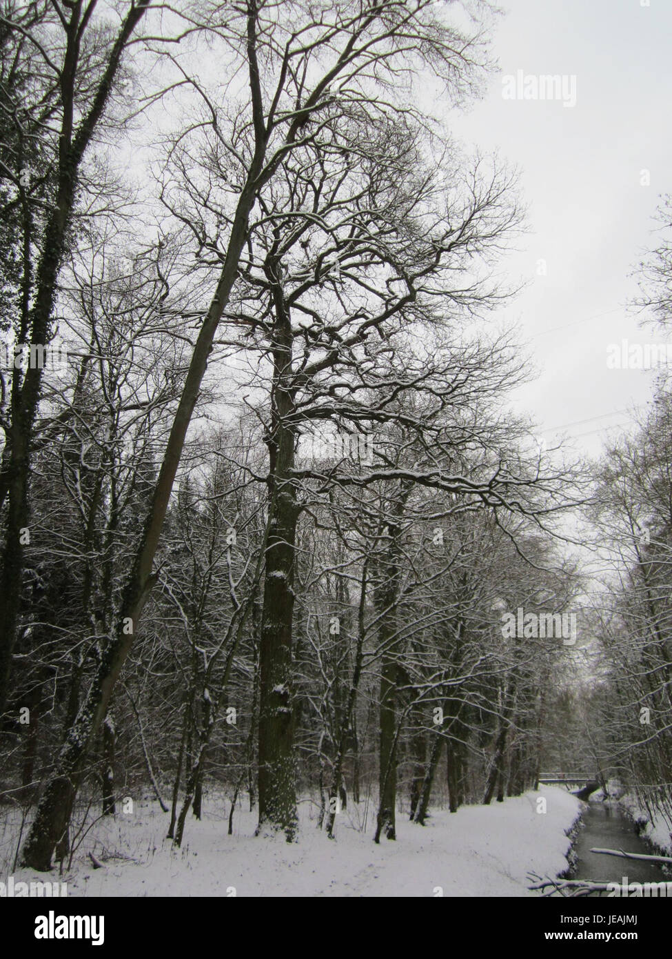 Dieses Foto zeigt den Unteren Lusshart, ein ländliches Gebiet in Deutschland, das für seine landwirtschaftlich geprägten Landschaften und landschaftlich schöne Landschaften bekannt ist und sich in einer gemäßigten Zone befindet. Stockfoto