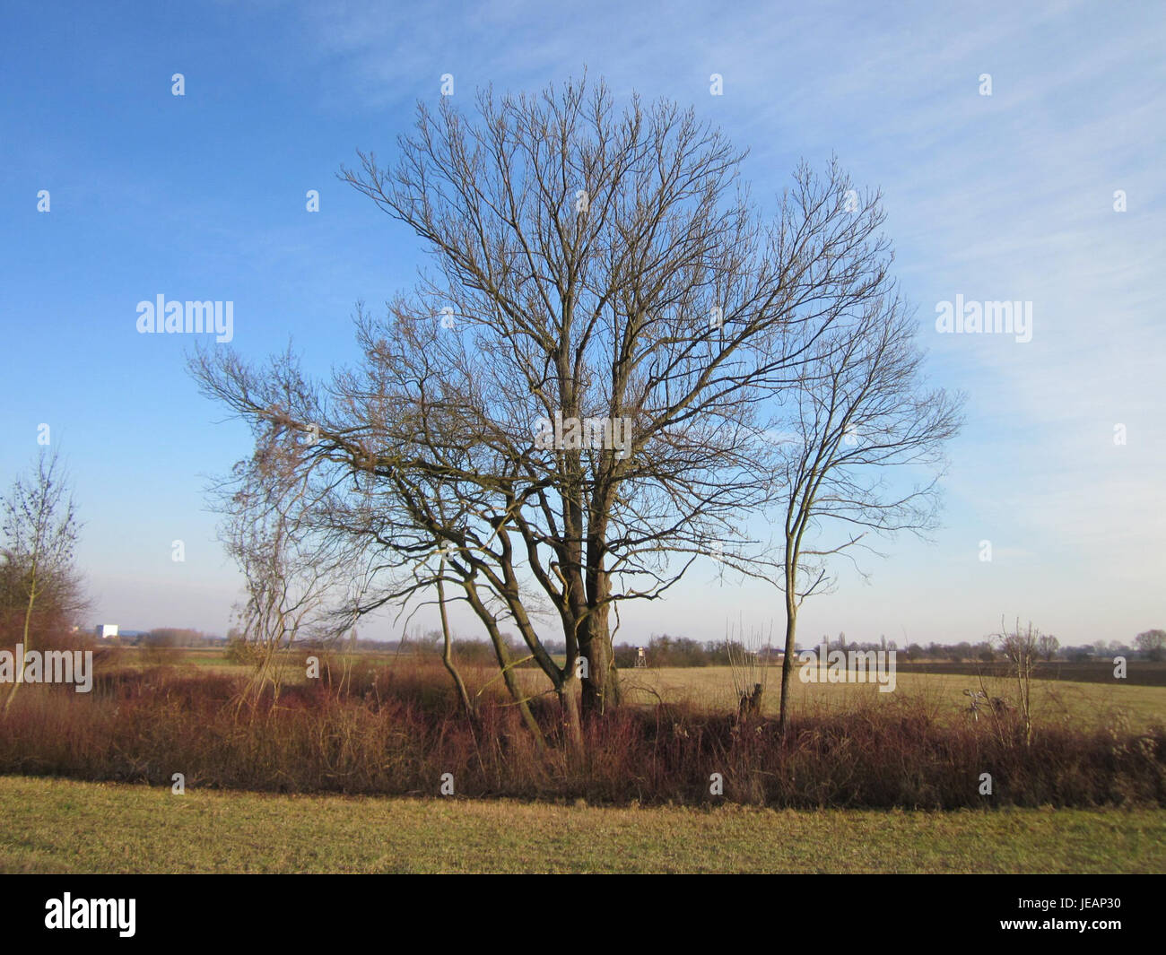 Das Bild zeigt eine ruhige Szene auf Schleiwiese am 10. Februar 2013, die die ruhige, natürliche Umgebung und die ruhige Landschaft der Gegend hervorhebt. Stockfoto