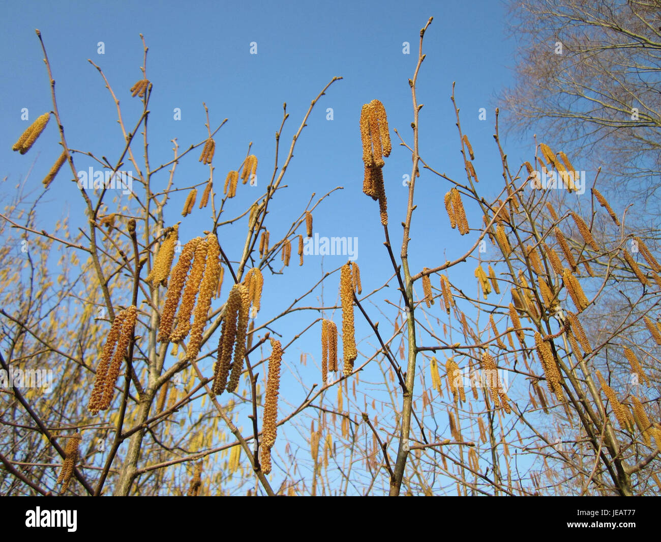 Eine Fotografie des Reilinger Sees, aufgenommen am 3. März 2013, die eine ruhige Seeszene in ländlicher Umgebung darstellt. Stockfoto