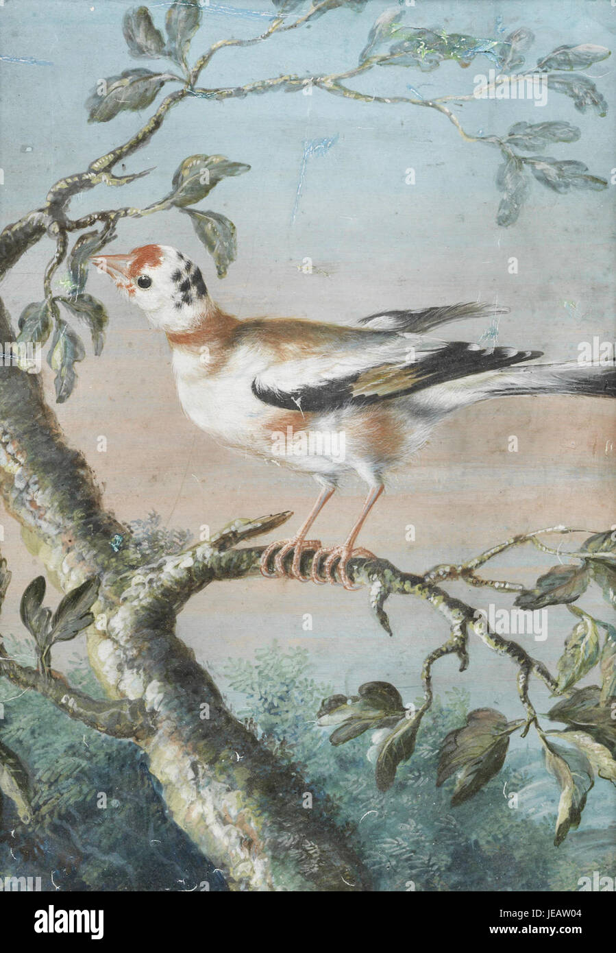 *Ein Vogel auf einem AST* von Christoph Ludwig Agricola stellt einen Vogel dar, der auf einem Zweig thront und die Beherrschung der botanischen und zoologischen Illustrationen des Künstlers im 18. Jahrhundert zeigt. Stockfoto *Ein Vogel auf einem AST* von Christoph Ludwig Agricola stellt einen Vogel dar, der auf einem Zweig thront und die Beherrschung der botanischen und zoologischen Illustrationen des Künstlers im 18. Jahrhundert zeigt. Stockfoto