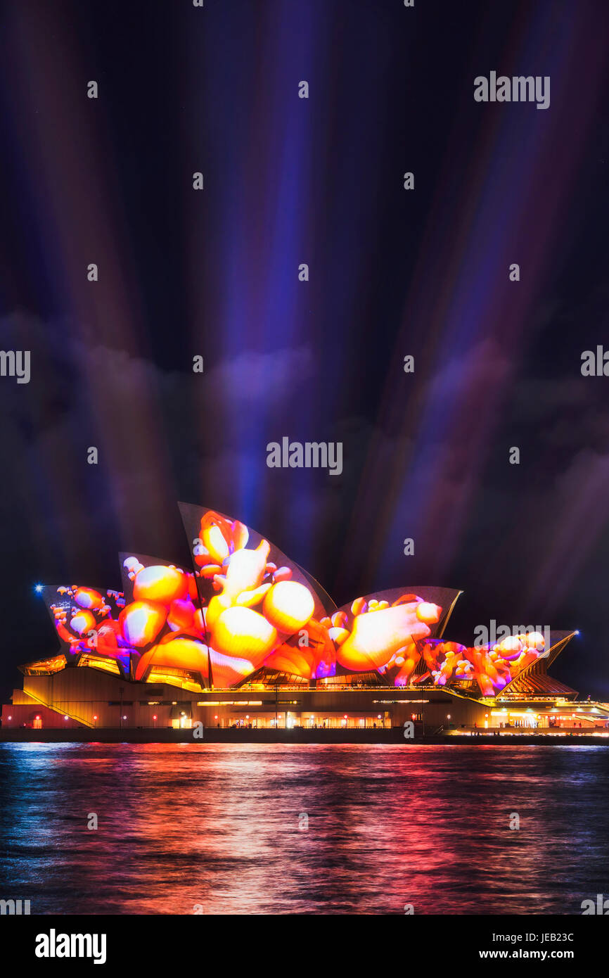 Sydney, Australien - 8. Juni 2017: Opernhaus von Sydney bei Vivid Sydney Lichtshow mit Projektion des Videobildes auf der Seite mit Blick auf Hafen und begründeten Stockfoto