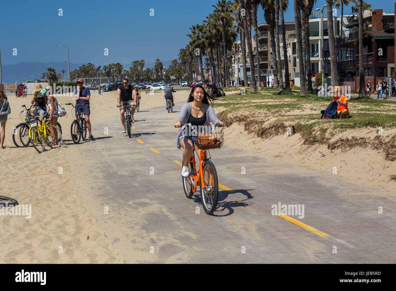 junge Frau, Radfahrer, Radfahrer, Radfahren, Radweg, Radweg, Venice Beach, Venice, Los Angeles, Kalifornien Stockfoto