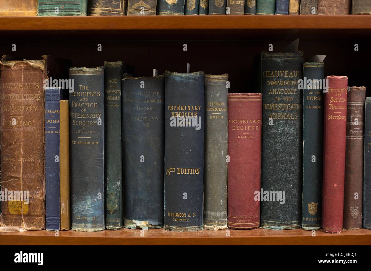 Alten tierärztlichen Lehrbüchern auf einem Regal an der Minnesota Veterinary Hospital in St. Paul, MN, USA. Stockfoto