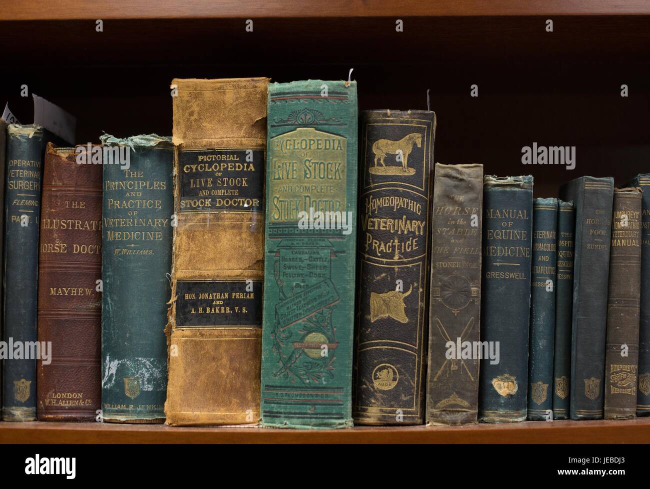 Alten Veterinärmedizin Bücher im Minnesota Veterinary historischen Museum. Stockfoto