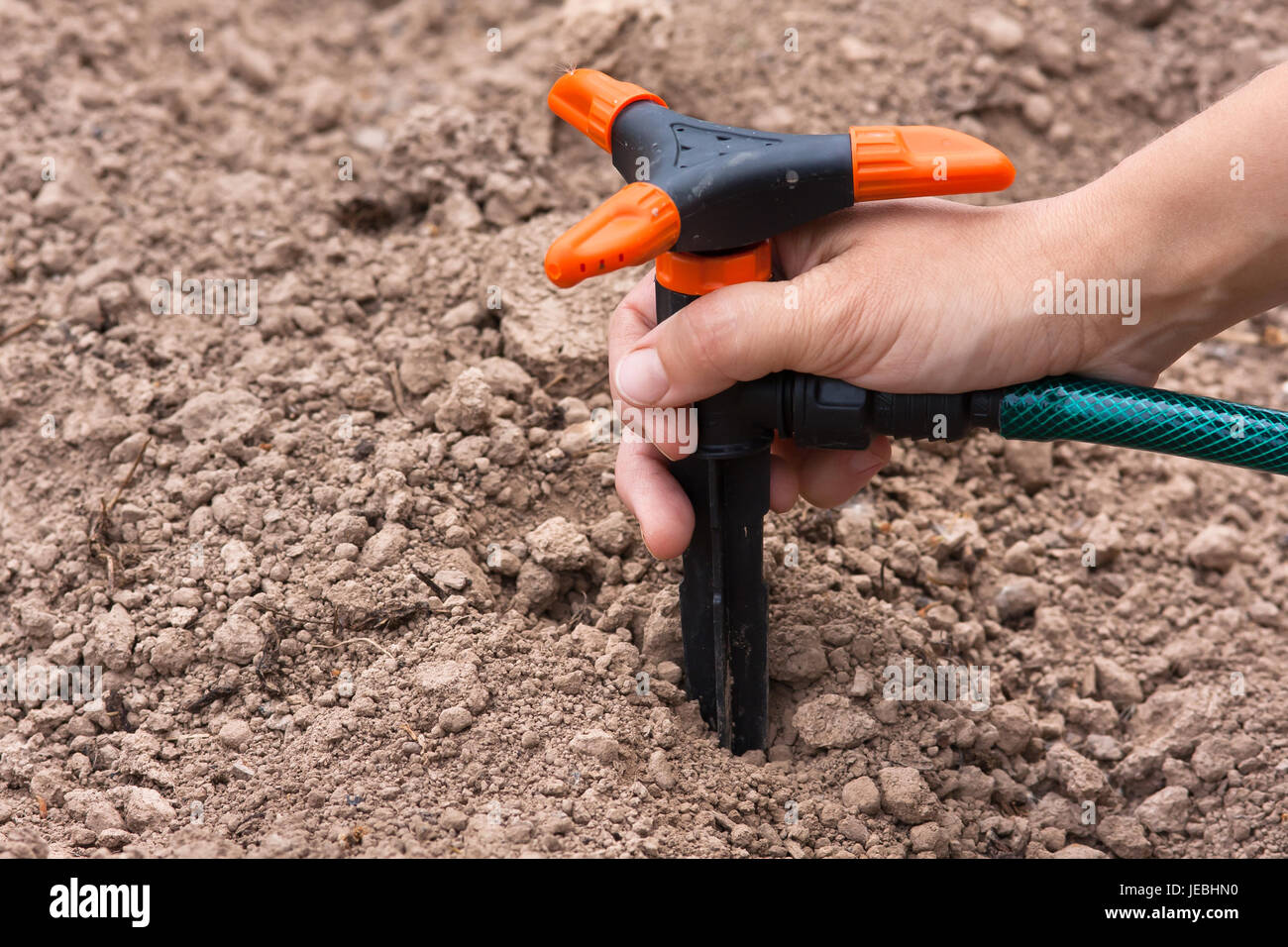 Hand, die Installation Sprinkler zur Bewässerung des Gartens Stockfoto