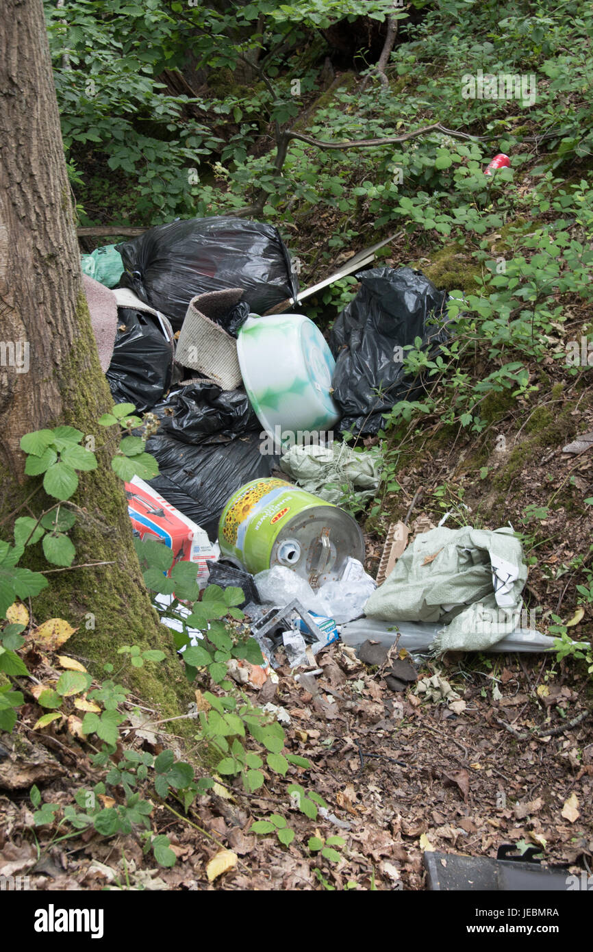 Fliege-Trinkgeld in die grünen Gassen von Buckinghamshire! Stockfoto