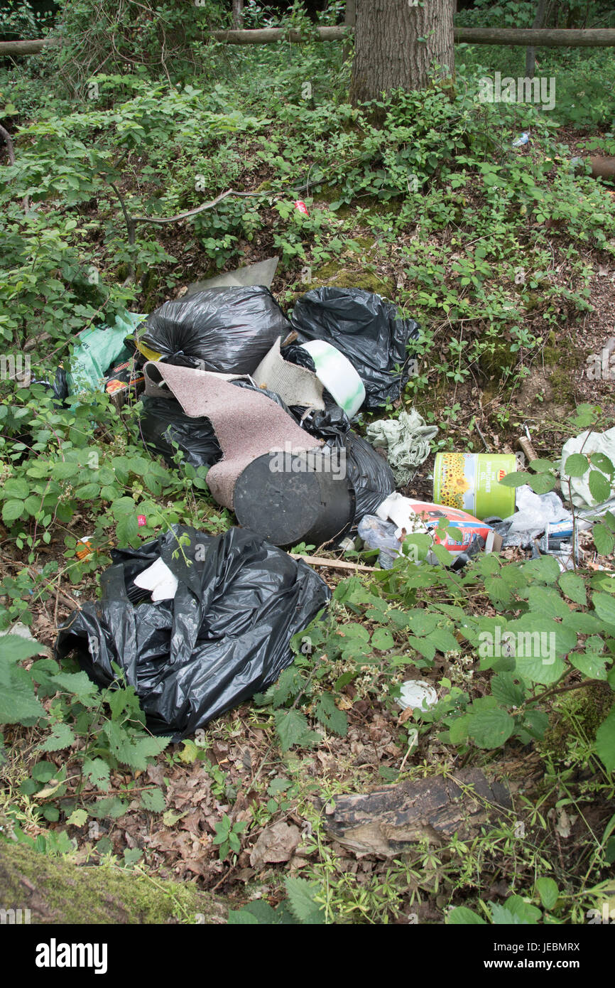 Fliege-Trinkgeld in die grünen Gassen von Buckinghamshire! Stockfoto