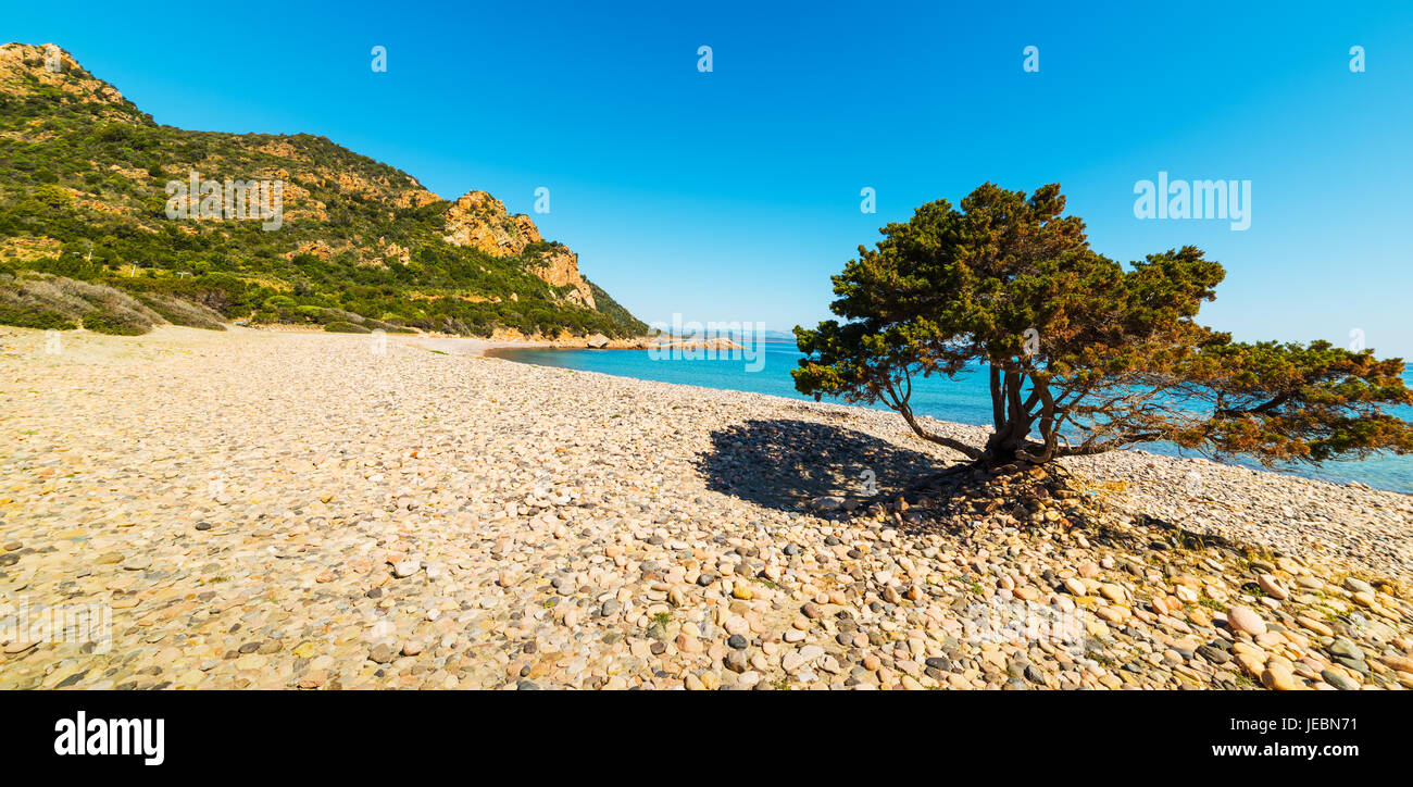 Kiesel im Baccu e Praidas Strand, Sardinien Stockfoto