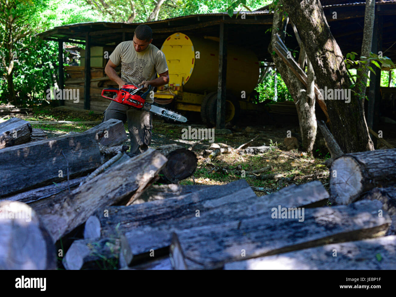 Santa Rosa Park Ranger Josue Sandoval Drehzahl einer Kettensäge über einen Stapel von illegalen Bauholz von den nationalen System von Schutzgebieten beschlagnahmt. Stockfoto