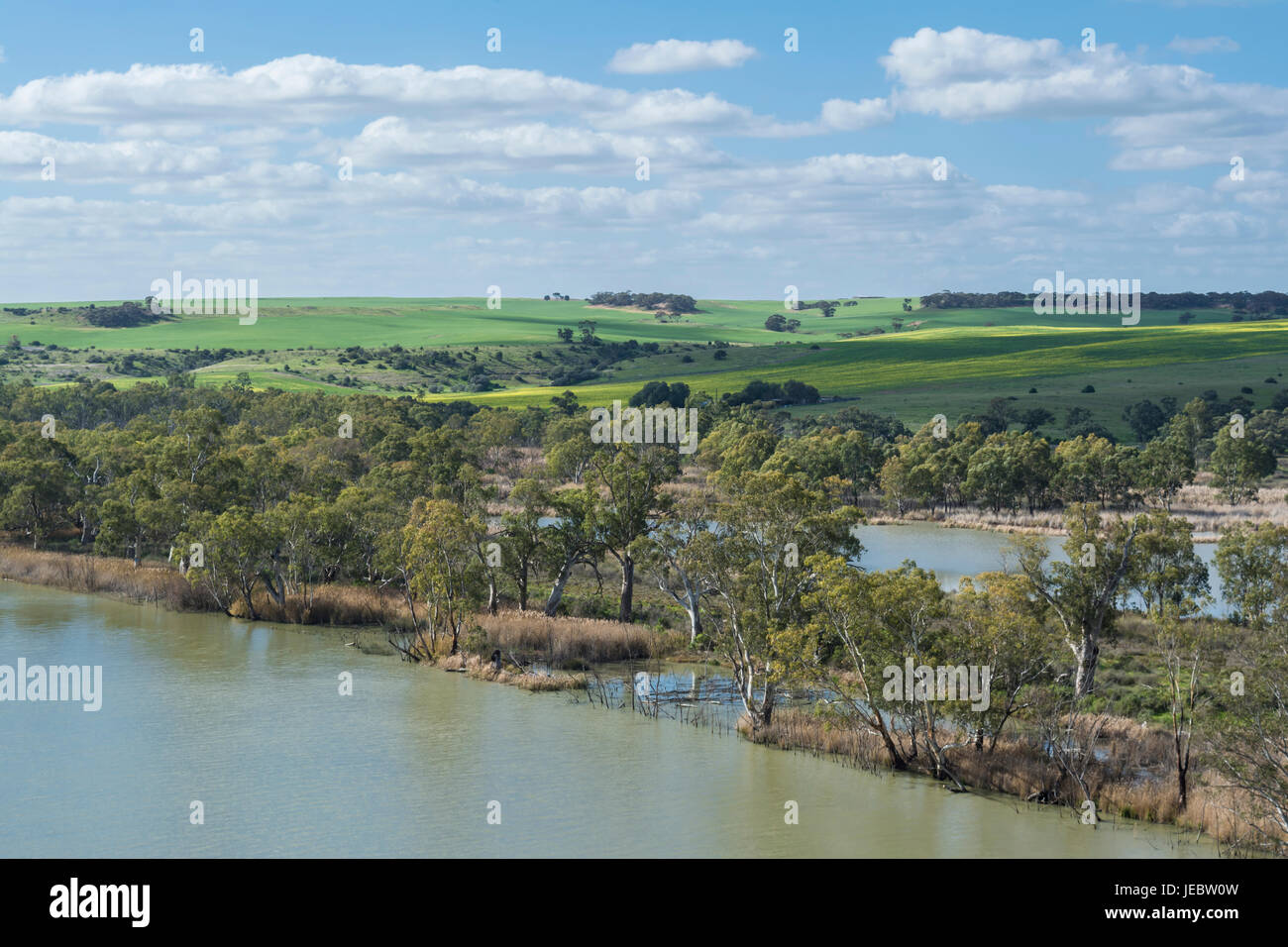 Blau, bewölkten Himmel über den Murray River Gum Bäumen gesäumt und versuchte Bürste mit gefilterter Sonne durch die Wolken auf grünen Wiesen im Hintergrund Stockfoto