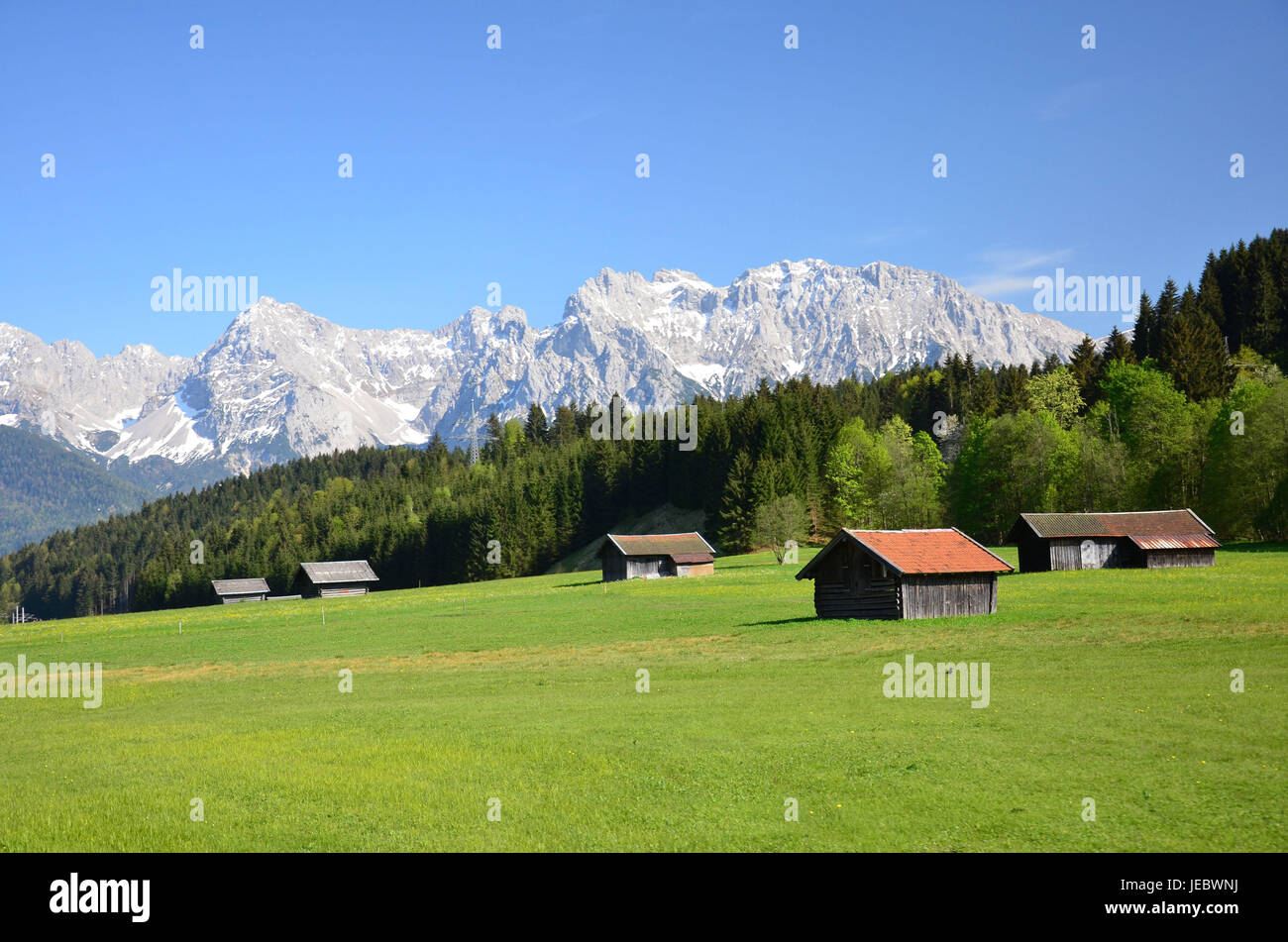 Deutschland, Bayern, alpinen Hochland, Wiese, Frühling, Berg Holz, Gebirge, Stockfoto