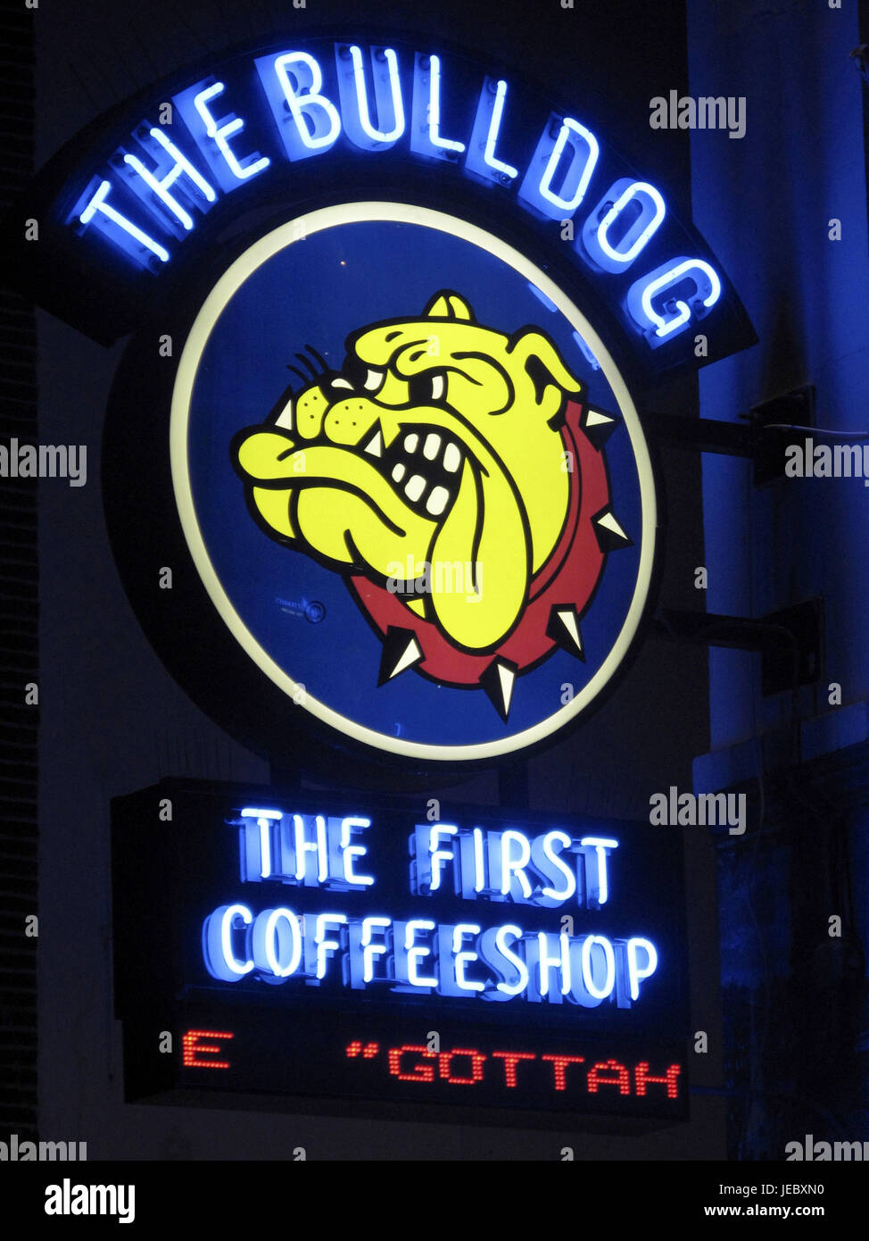 Holland, die Niederlande, Amsterdam Illuminateded Zeichen eines Coffee-Shops, Stockfoto