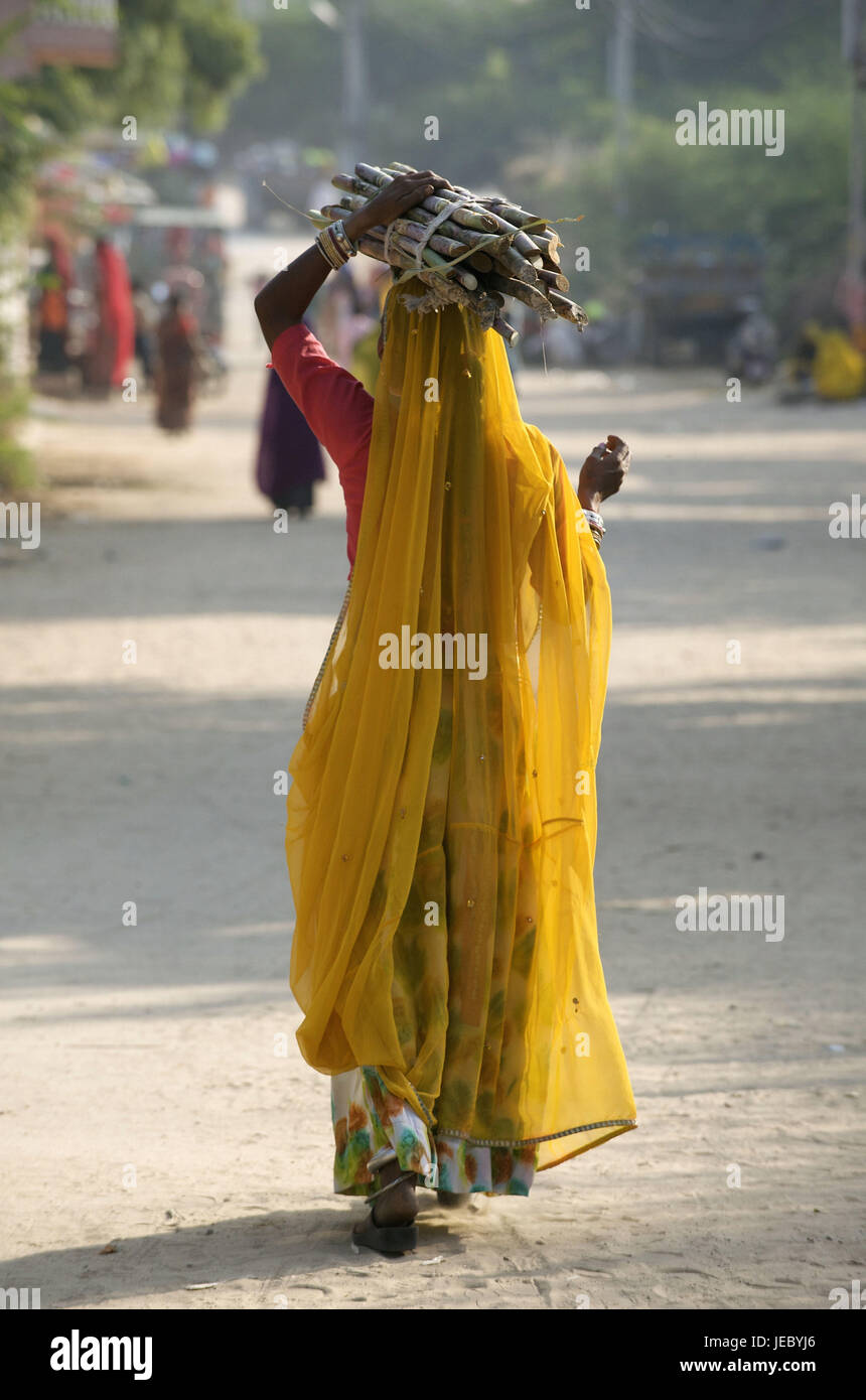 Indien, Rajasthan, Pushkar, Frau in der gelben Sari trägt Brennholz auf den Kopf, Stockfoto