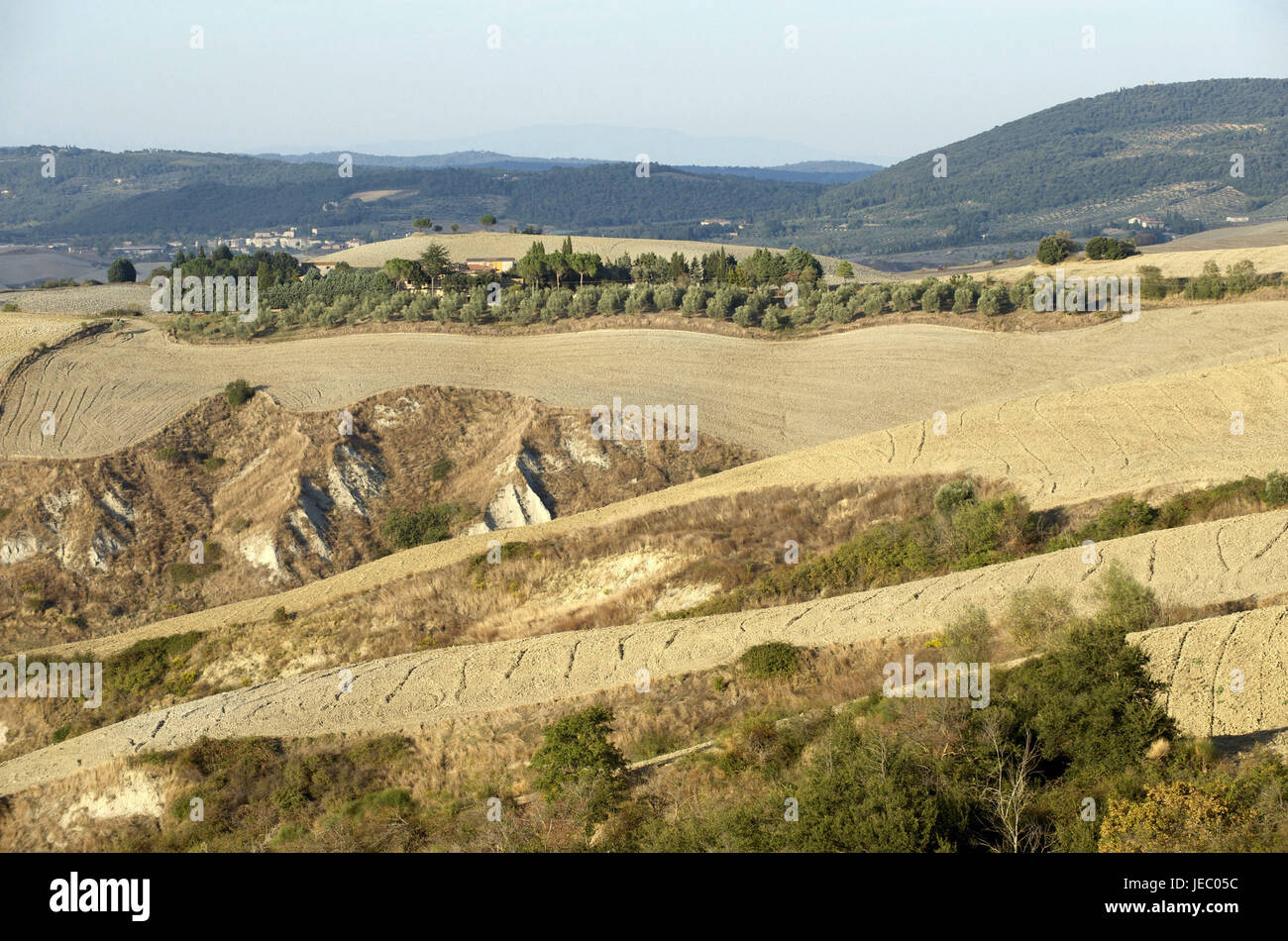 Italien, Toskana, Crete Senesi, Feld Landschaft und Hügel, Stockfoto