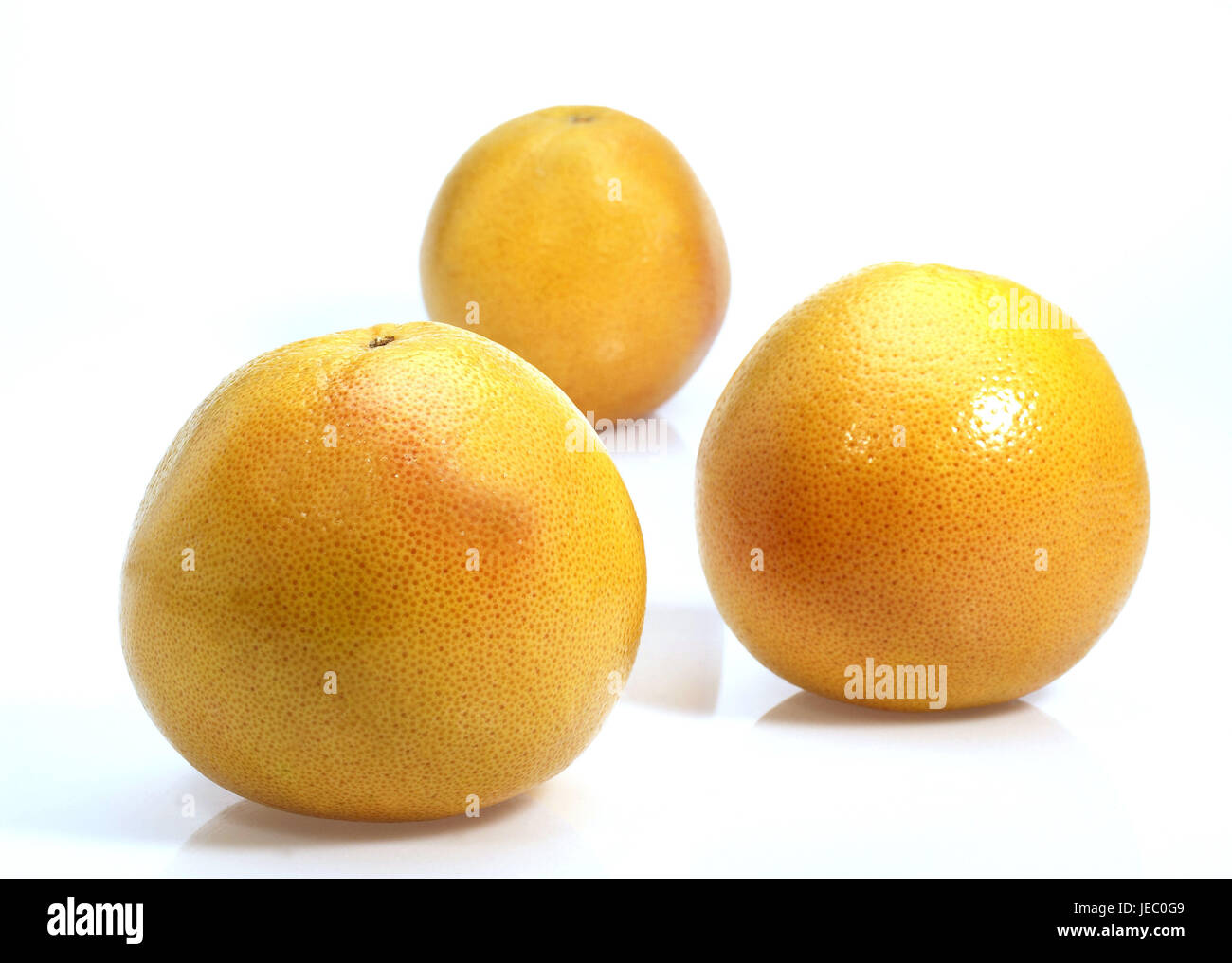 Grapefruit, Citrus Paradisi, weißer Hintergrund, Stockfoto